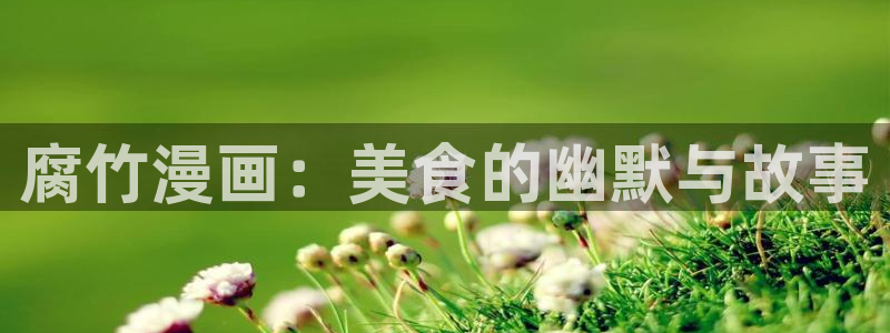喵趣fm