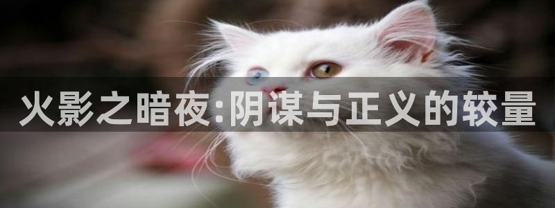 www.喵趣.too