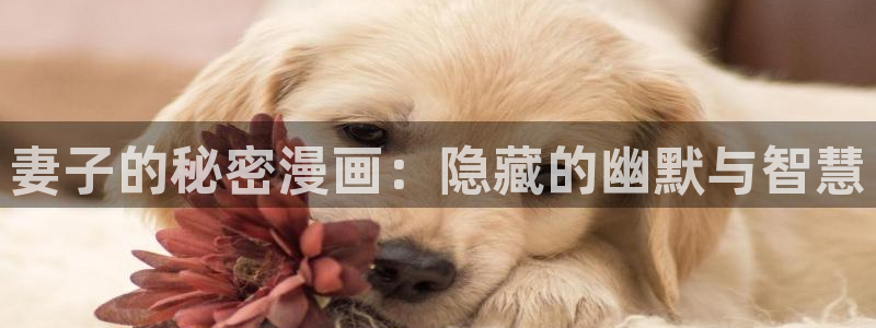 喵趣漫画最新版本下载