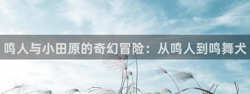 喵趣二次元