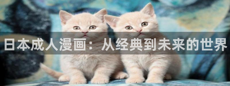喵趣漫画2026(新版本)