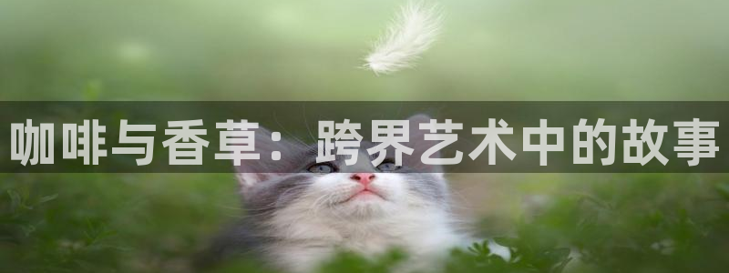 喵趣漫画未删减