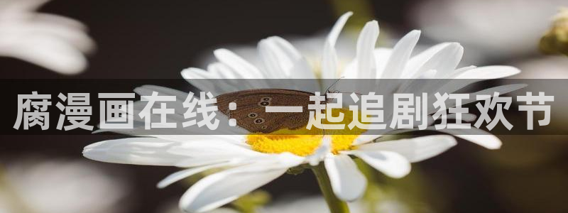 www.喵趣漫画.con