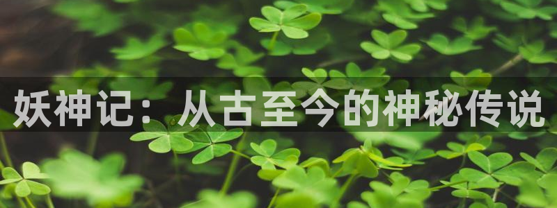 喵趣漫画ap