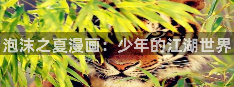 喵趣漫画免费正版