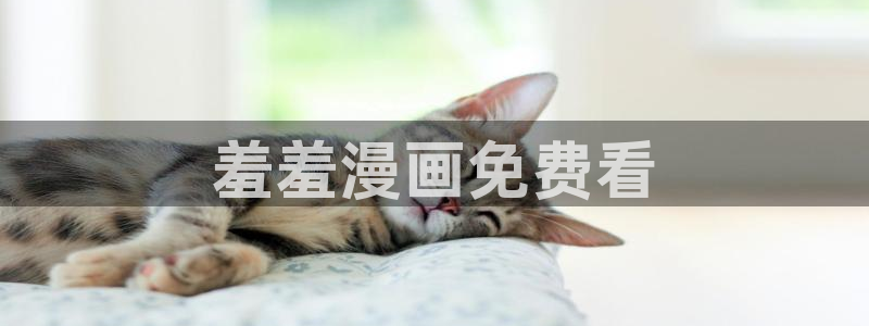 喵趣漫画免费阅读下载