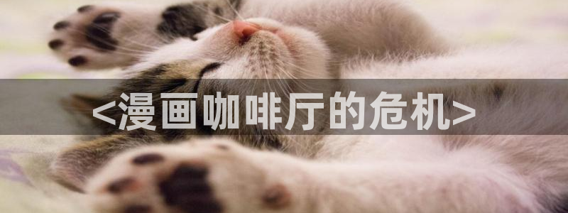 喵趣漫画.apk.1