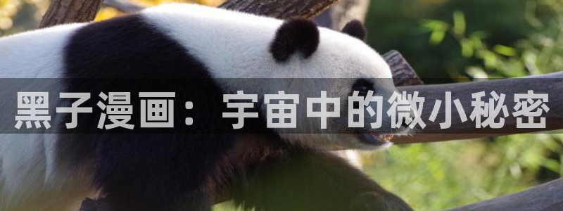 与喵趣漫画类似的软件