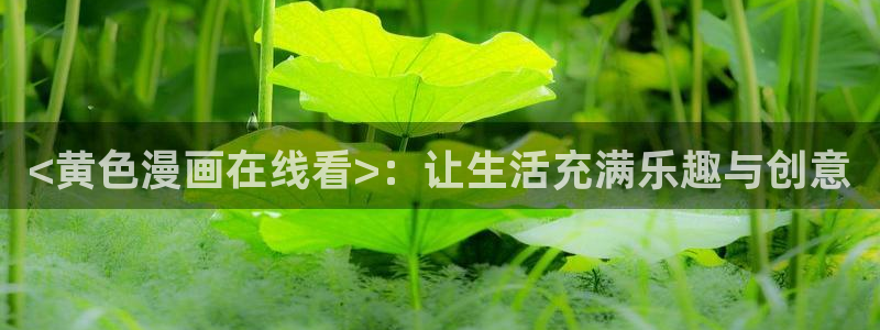 喵趣看
