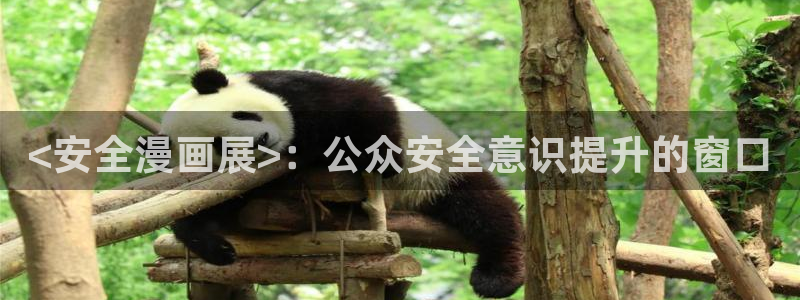 喵趣漫画免费阅读网页