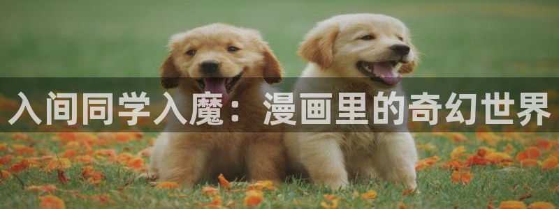 喵趣漫画入口正版
