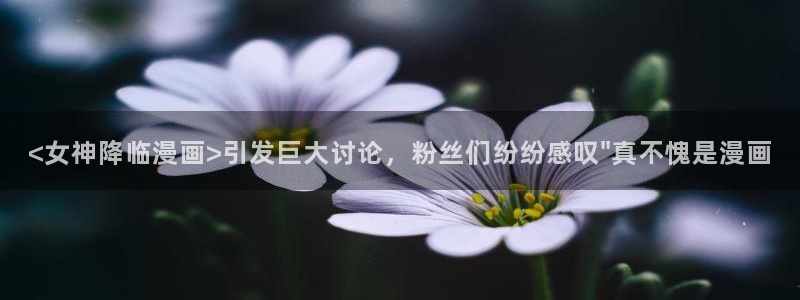喵趣动漫下载官网