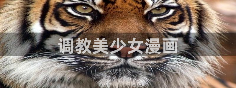 www.喵趣.tob