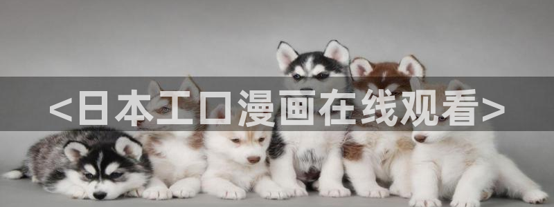 喵趣网址