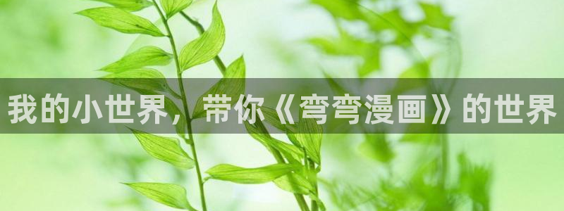 喵趣漫画最新版本2026