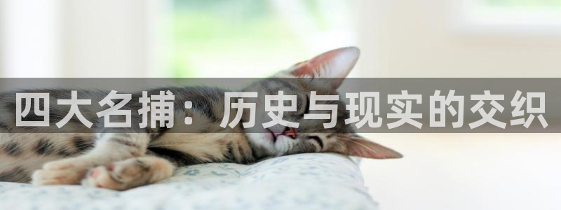 喵趣漫画1.1.0版本