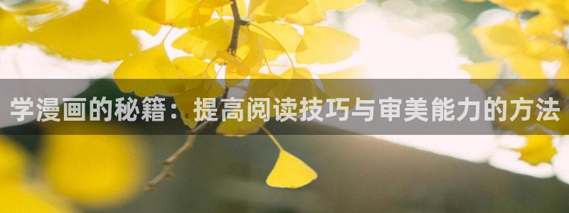 喵趣漫画破解版免广告版本：学漫画的秘籍：提高阅读技巧与审美能力的方法